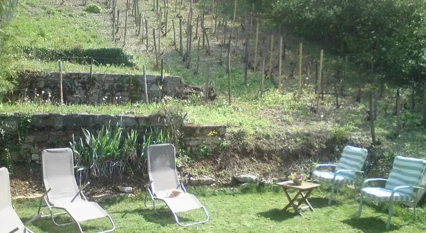 Rhone et Vignes