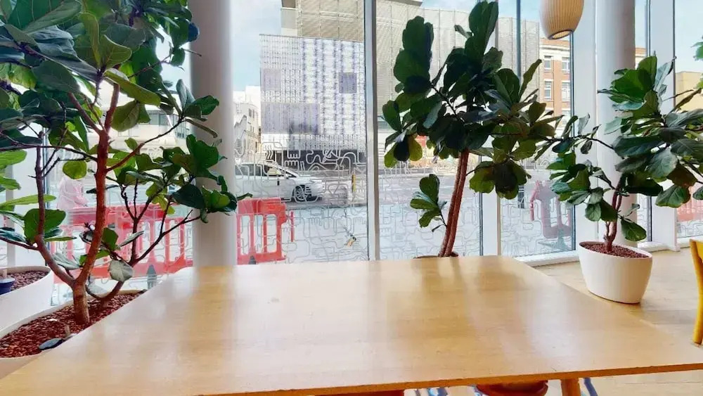 For Student Only Cosy Studios in the Central London - Campus Accommodation