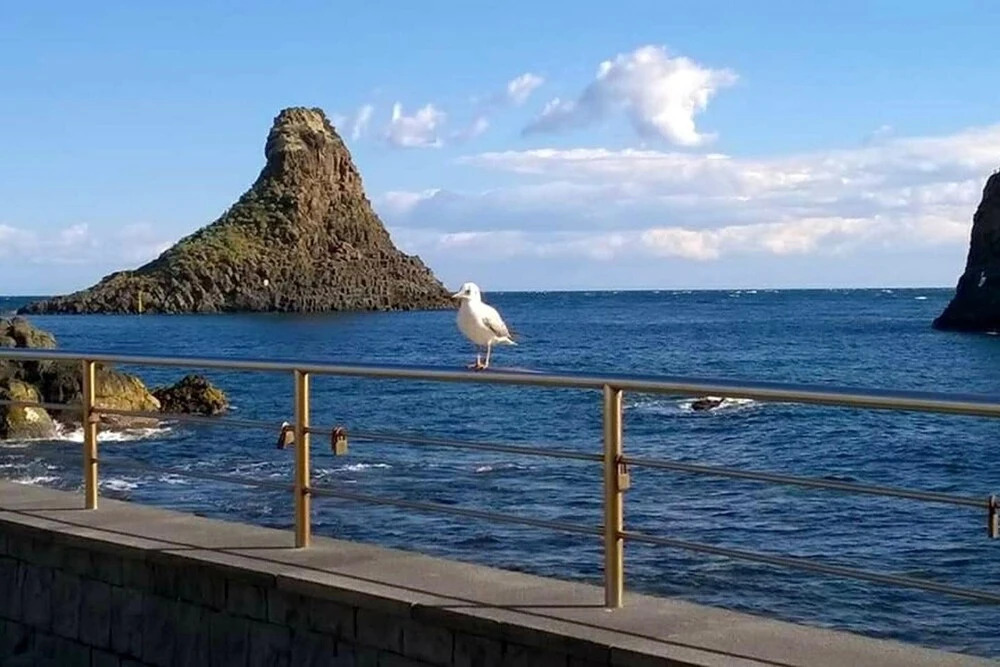 Apartment with One Bedroom in Aci Castello, with Wonderful Sea View, Terrace And Wifi - 30 M From the Beach