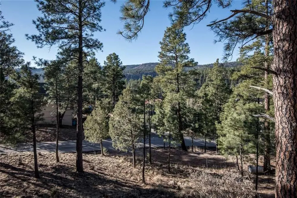 Lucky Bear Lodge - Three Bedroom Cabin