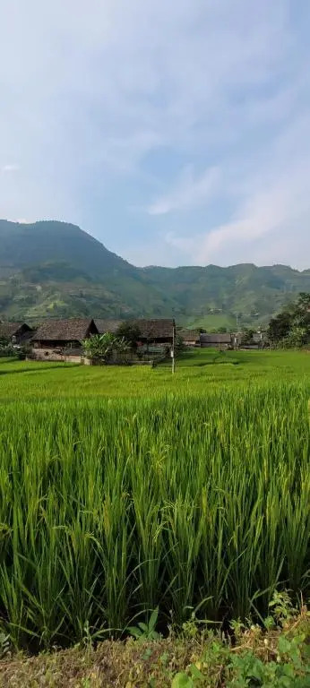 Organic Farm Homestay
