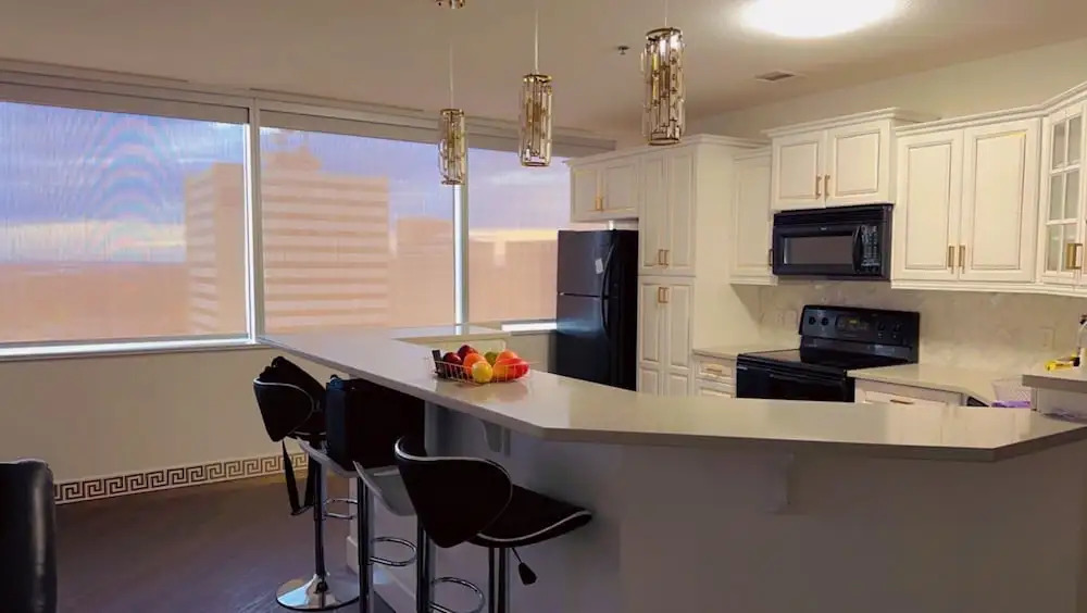 Luxury Downtown Condo Two Bedroom