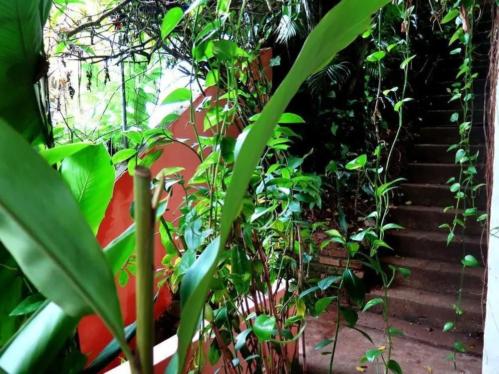 Para Ti Guesthouse