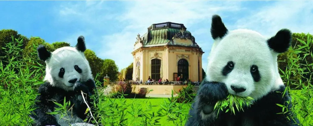 Zwischen Schönbrunn und dem City Center. Apt. 39