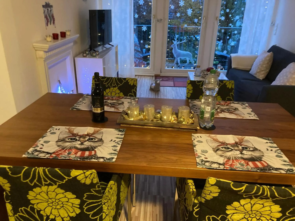 Business Apartment Bugl