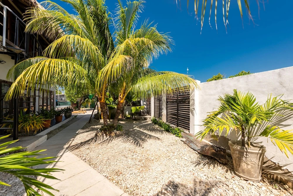 Casa Dharma Refugio de serenidad