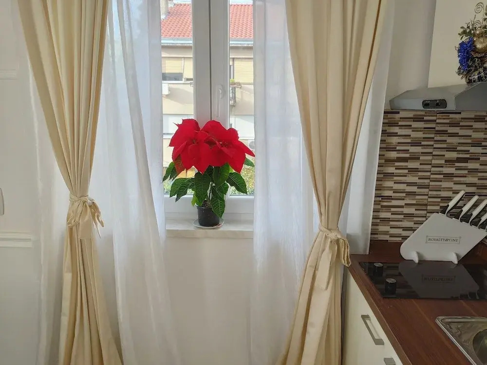 Apartment design by Helena