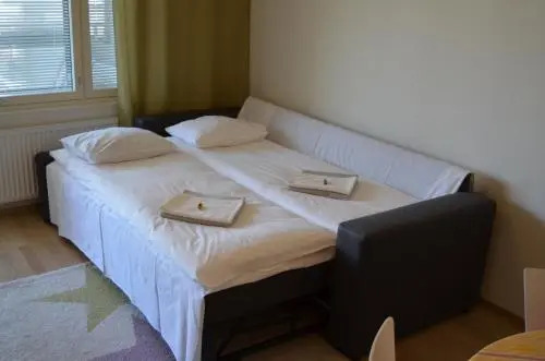 Lahti Vesijärvenkatu Apartment