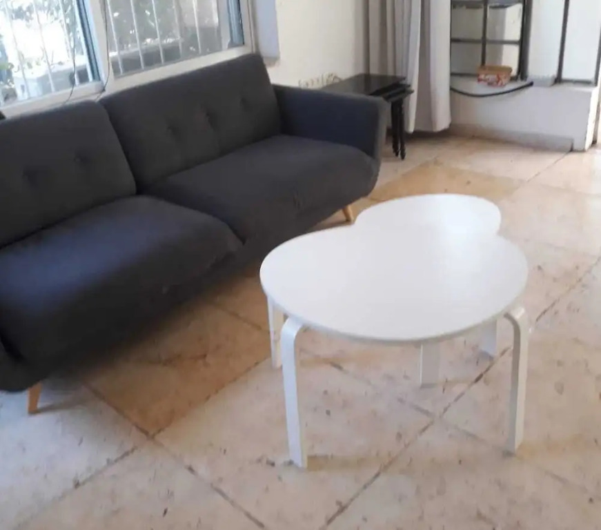 3 Br by park hayarkon 1min  2 Ichilov