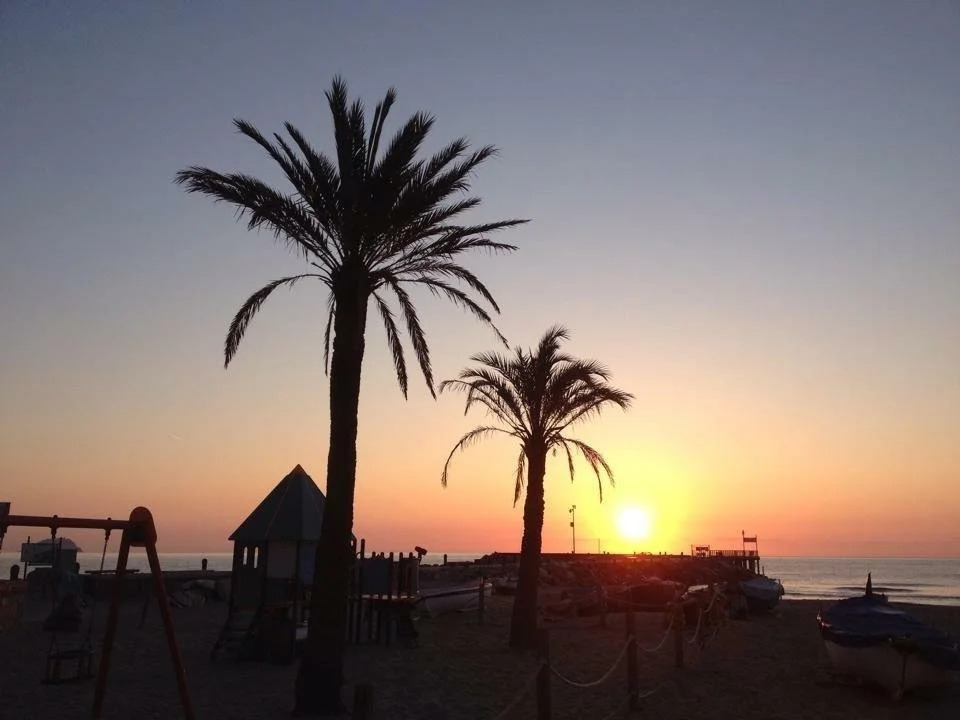 Hotel Mambo