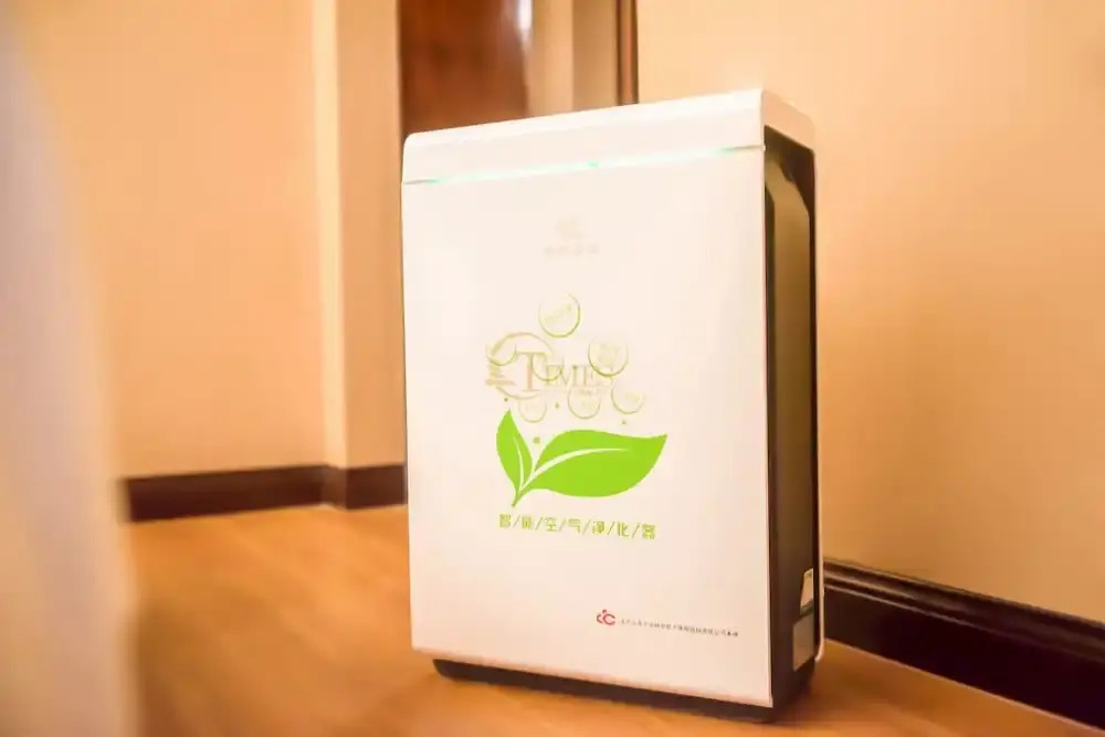 Tianxi  Royal Suites & Towers branch