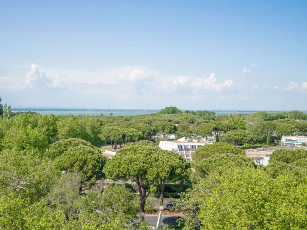 Villa du Parc II La Grande Motte 32739