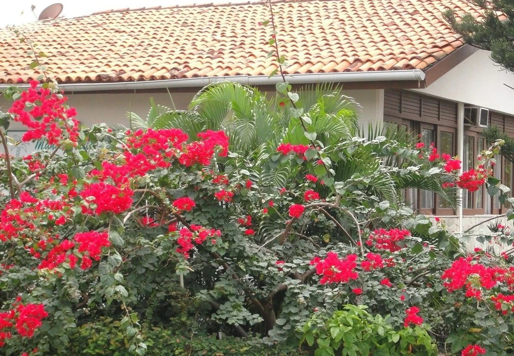 Mansão VillaVerde