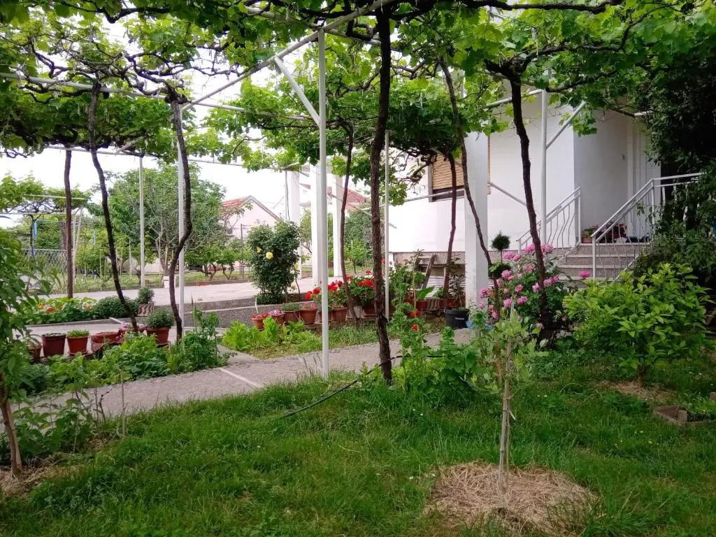 Hostel Olea