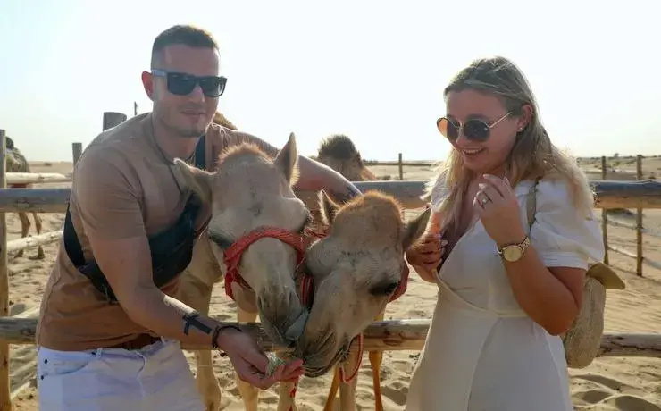 Al Marmoom Dome Luxury Desert Experiential Stay