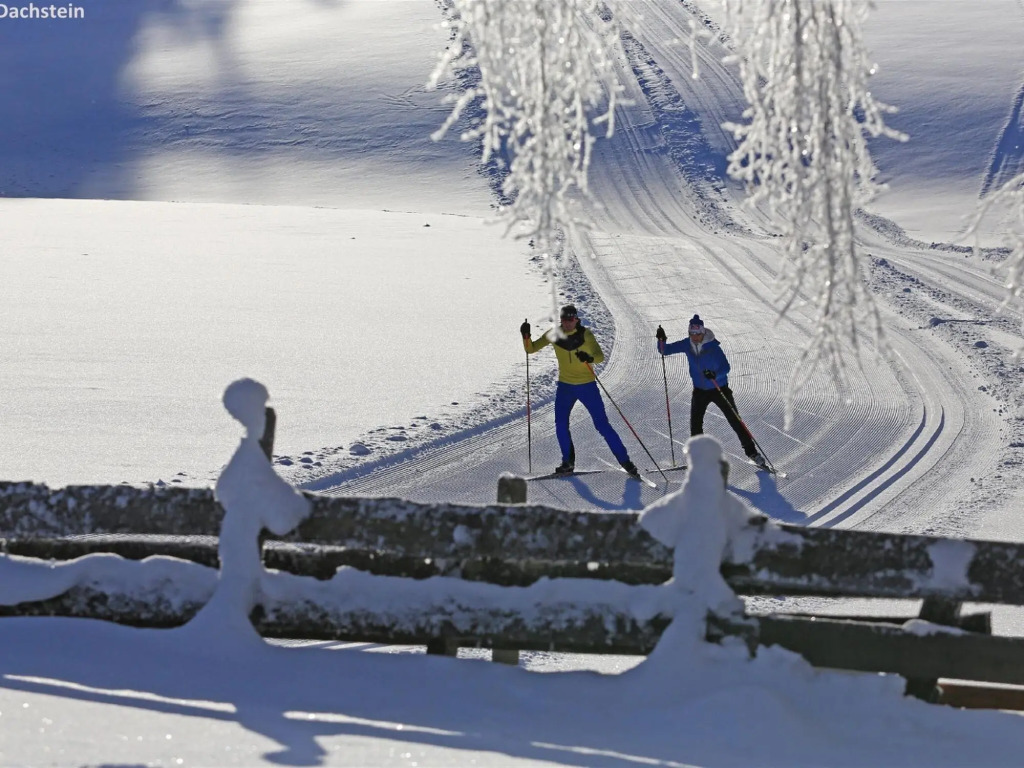 Luxury Chalet in Ennsling near Schladming with Private Spa