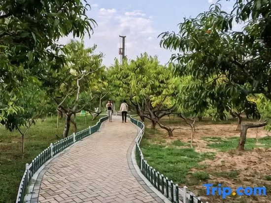Hanting Hotel (Xuzhou China University of Mining and Technology, Qiligou Metro Station)