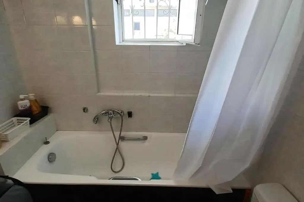 Hippo68