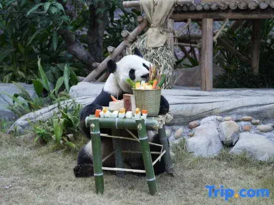 Xiamen Lingling Giraffe Manor Hotel