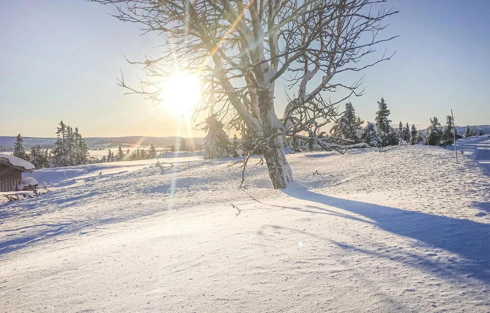 4 Bedroom Amazing Home In Lillehammer