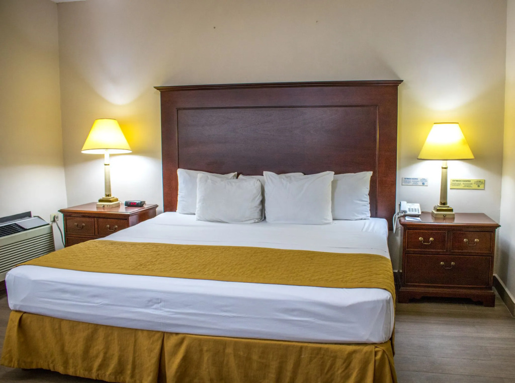 Hotel Plaza Calzada