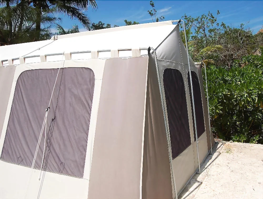 Rhincodon Typus Glamping