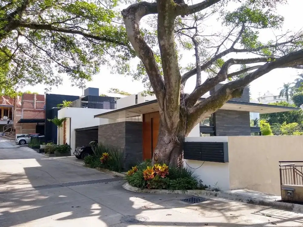 Modern House Palmira