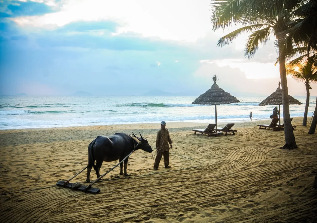 Palm Garden Beach Resort & Spa