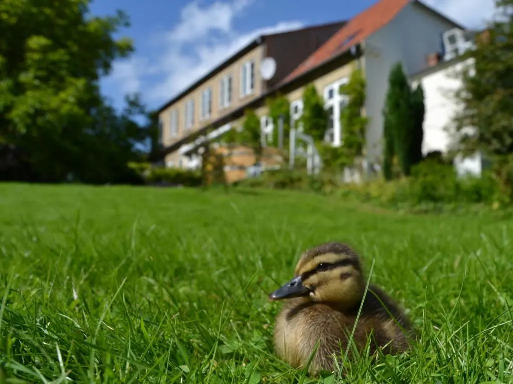 Det Gamle Apotek Bed & Breakfast