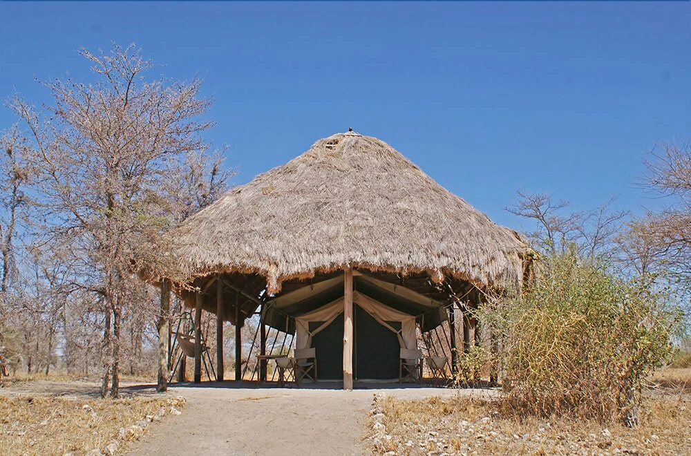 Whistling Thorn Tented Camp