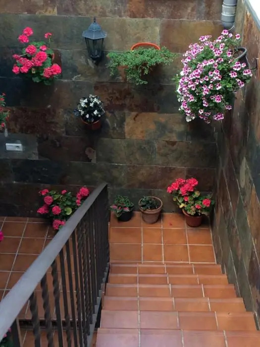 Apartamentos La Flor