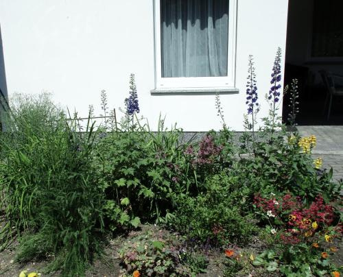 Waldblick