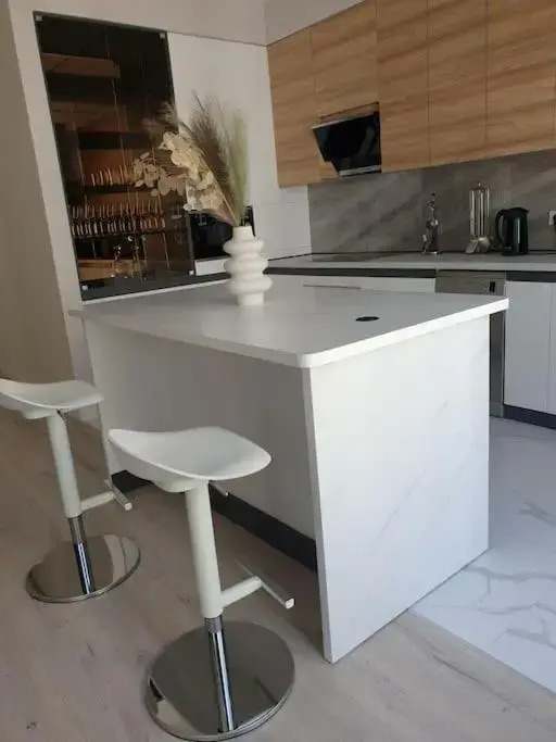 Lovely 1-bedroom rental unit in downtown