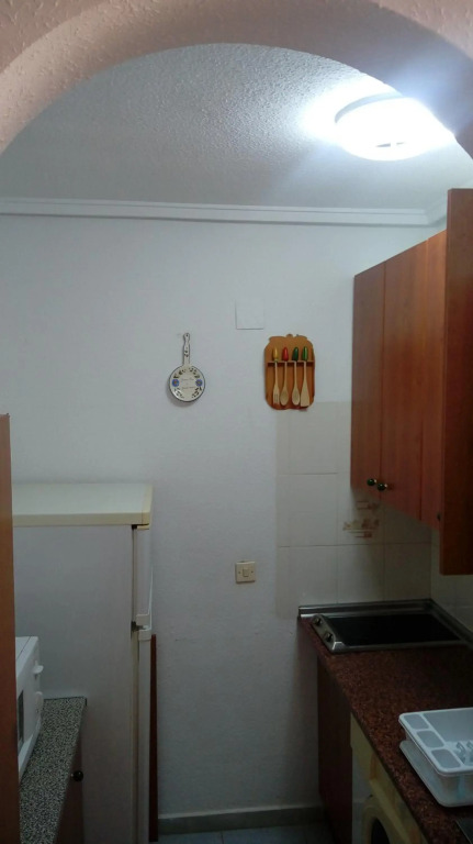 Apartment Laguna