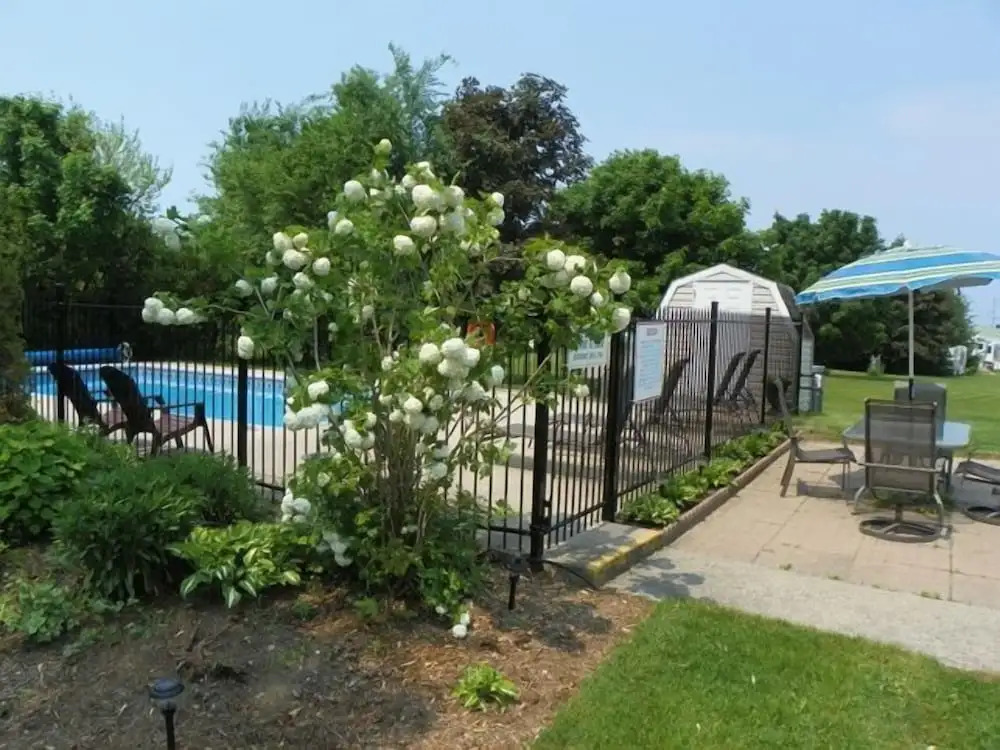 Lakeview Motel & Cottage