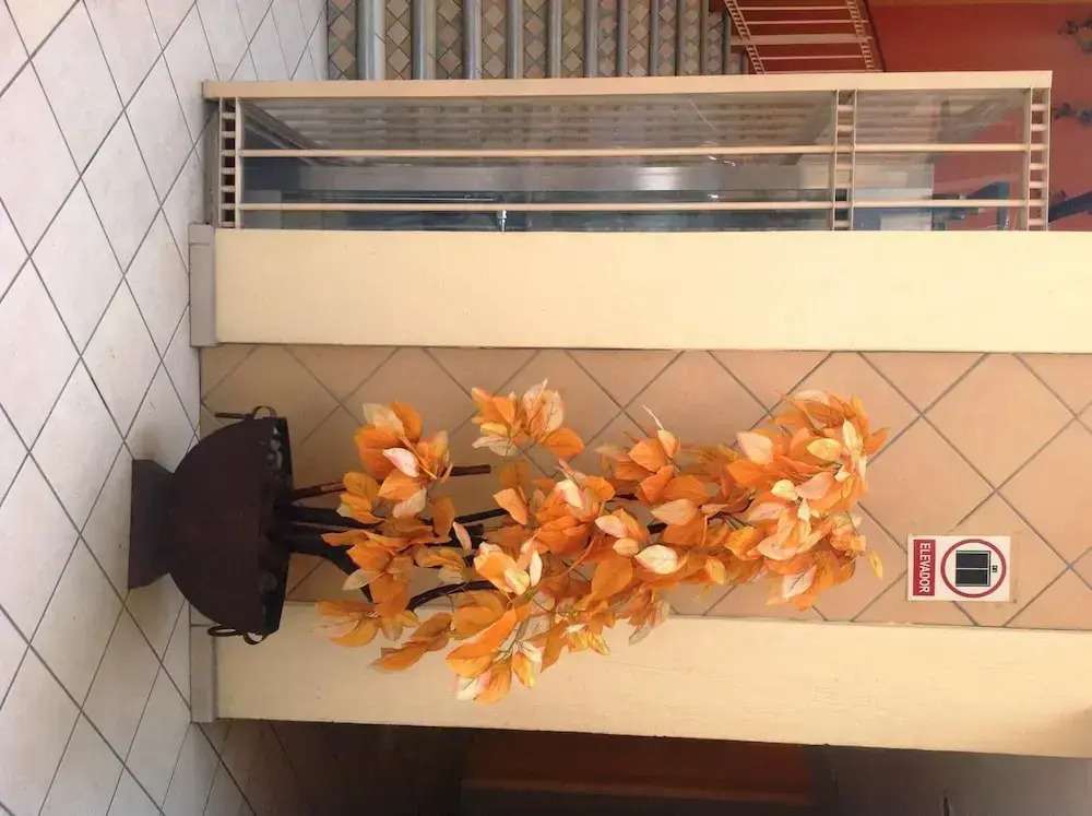 Hotel Plaza Jardín