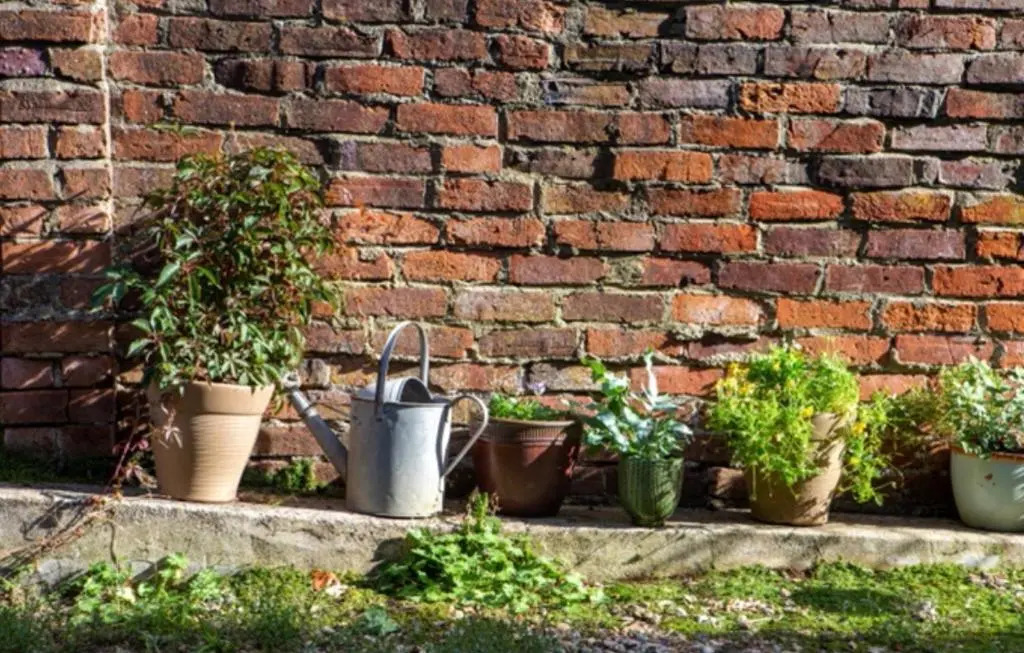 Bridport Garden Suite