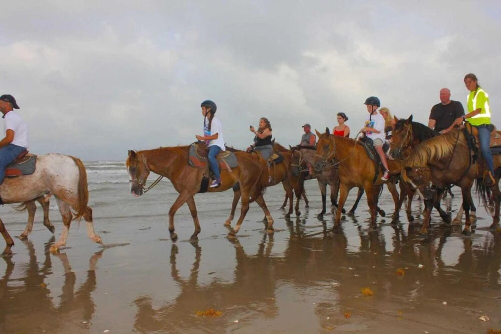 Saida I 201 by Padre Island Rentals