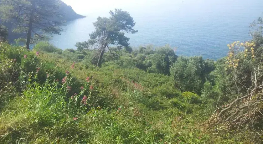 Apartment Camere Cinque Terre Andrea
