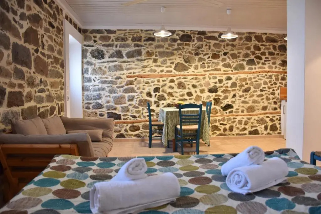 The apricot tree studio