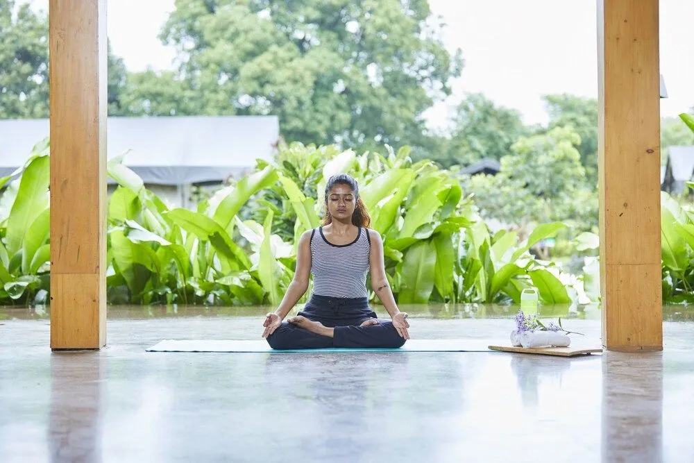 Grape County Eco Resort & Spa, Nashik