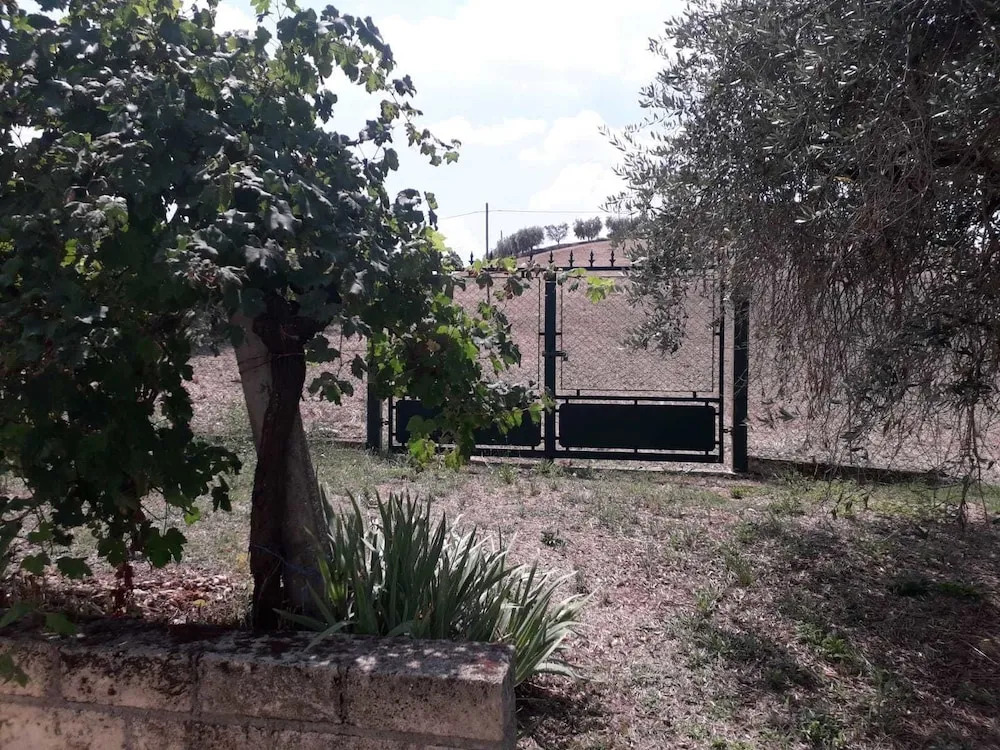 Casa Alex