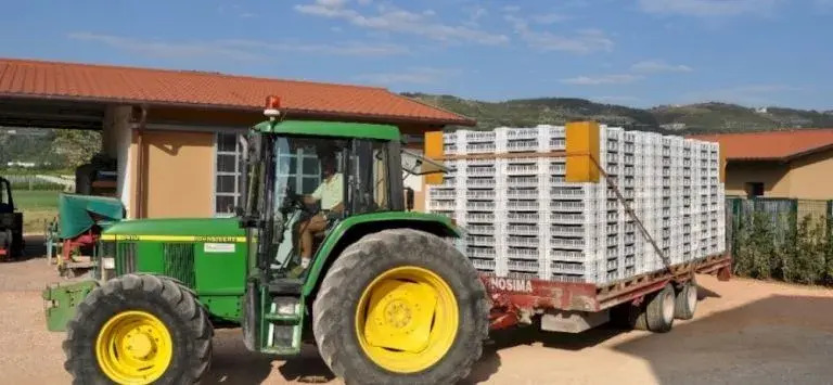 Agriturismo Corte Moranda