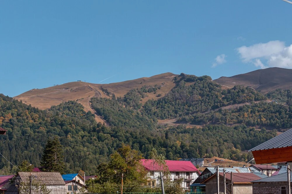 Immaculate 1-bed Apartment in Daba Bakuriani