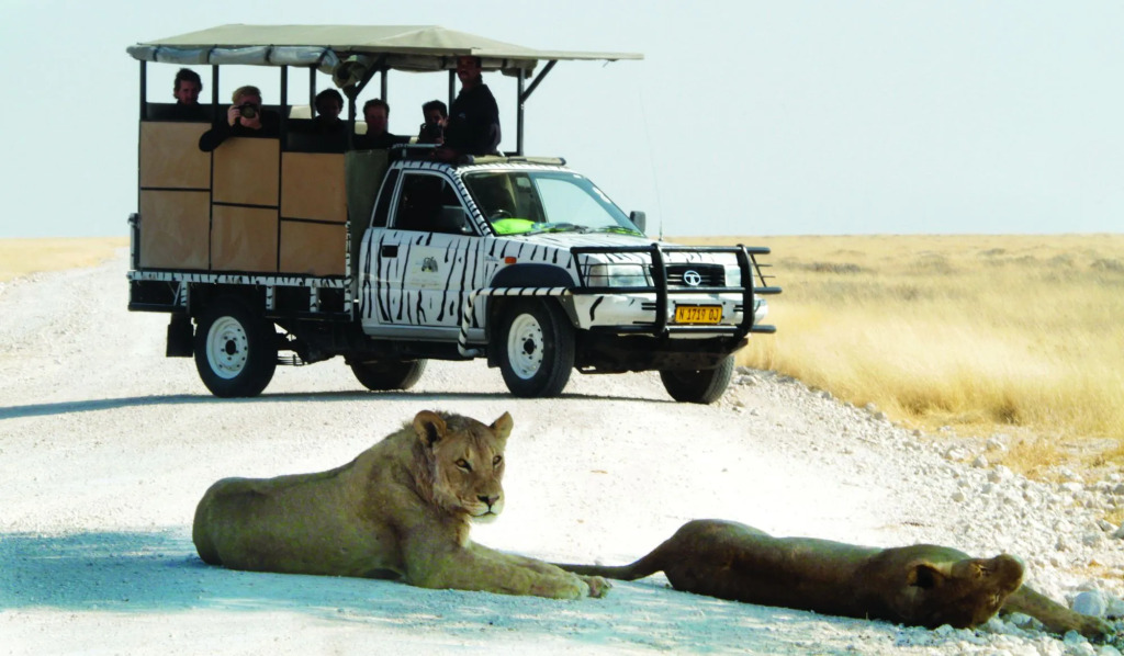 Gondwana Etosha Safari Camp