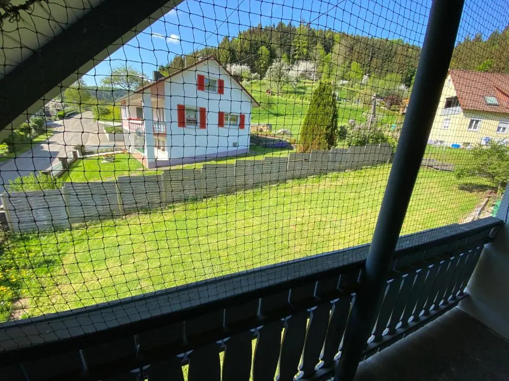 Dobelblick