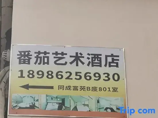 Tomato Art Smart Cinema Apartment (Chuhe Hanjie Metro Station, Hubei Provincial Museum Branch)