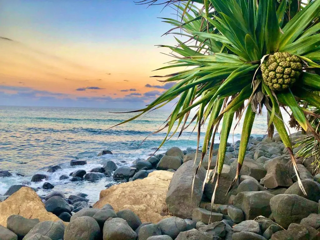 Hideaway Noosa Men Only Beach Resort