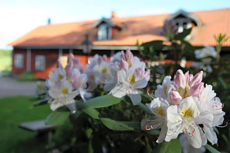 Klefstad Gård