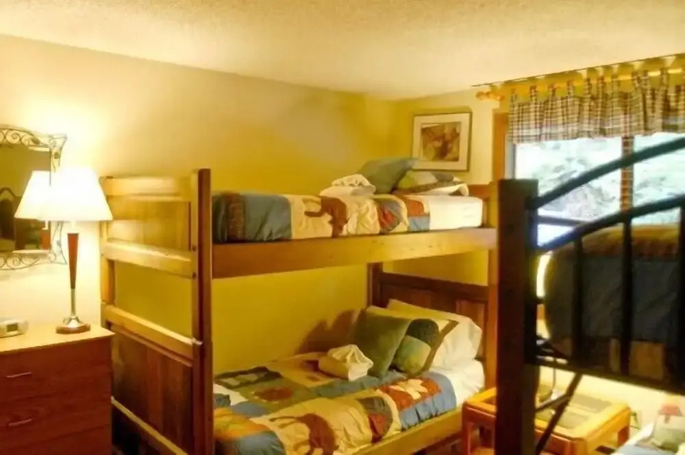 Mt Baker Lodging Condo 84 - Sleeps 6
